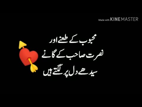 funny-poetry-and-quotes|funny-jokes|urdu/hindi