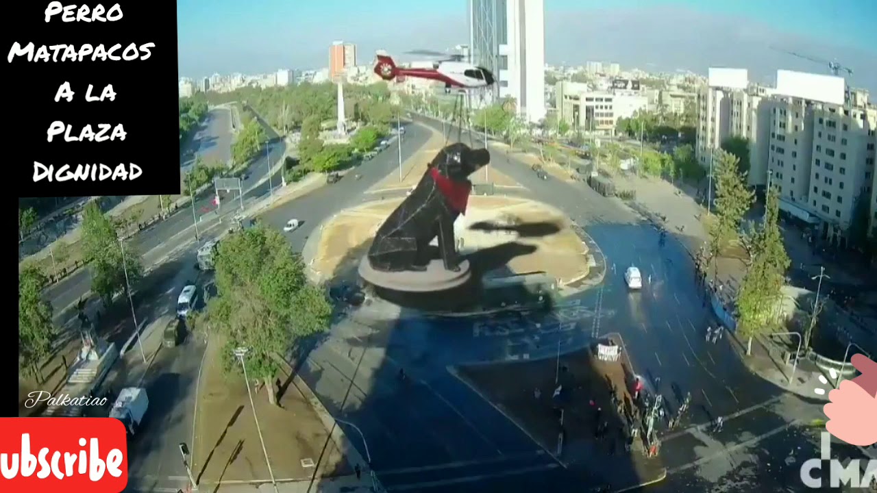 Perro Negro Matapacos a la Plaza Dignidad