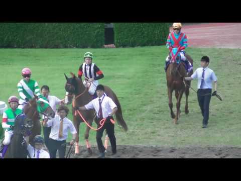 2016 第57回 宝塚記念(ＧＩ) 本馬場入場 現地映像 マリアライト