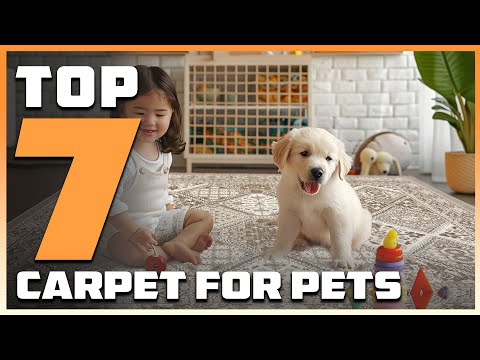 What Carpet Is Best For Dogs