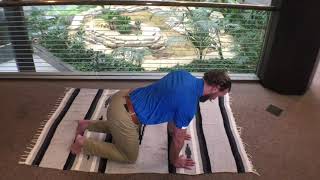 Beginner floor series-Spine stabilization
