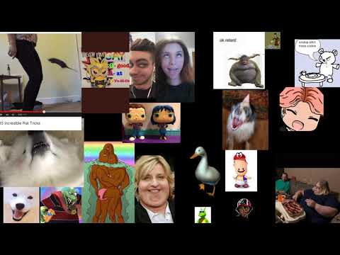 donkey punch prevention stream