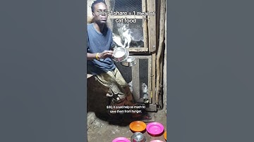 Every bit of your support counts. Click on the links in our bio to donate for any support#cat #help