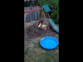 Kid Backyard Stunt Fail