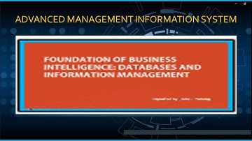 MIS   Foundation of Business Intelligence Databases and Information Management