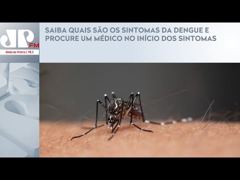 SAIBA QUAIS SÃO OS SINTOMAS DA DENGUE E PROCURE UM MÉDICO NO INÍCIO DOS SINTOMAS