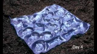 Plantic TPS Biodegradation Video