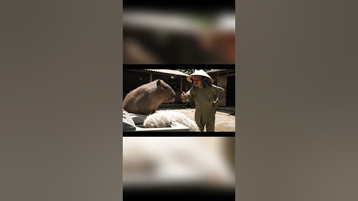 Capybara and Dog Become Best Friends!