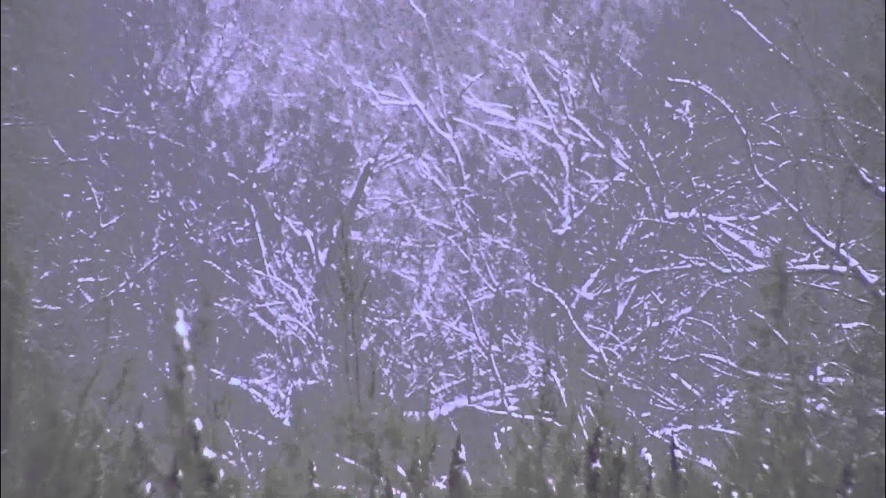 Проектор снежный Буран. Костюм для танца вьюга, Пурга, метель. Пурга слушать