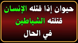 اسئلة دينية صعبة جدا واجوبتها | أين يذهب القرين بعد موت الإنسان⁉