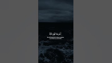 وَإِذا وَقَعَ القَولُ عَلَيهِم أَخرَجنا لَهُم دابَّةً مِنَ الأَرضِ - القارئ اسلام صبحي