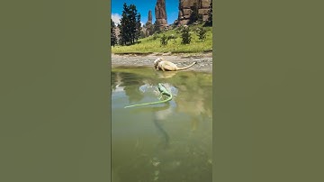 p877 Simulate great survival skills , #shorts