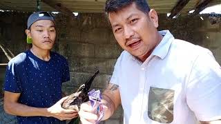 Pag-Gamot Sa Vent Gleetnamomoong Ipot Sa Pwetan Ng Mnok