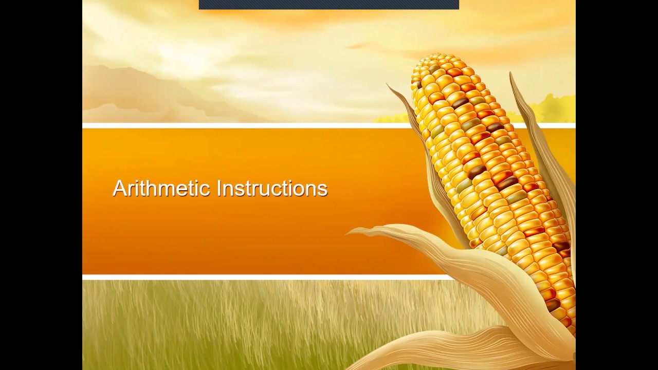 CSC159 - ASSEMBLY LANGUAGE 04/10 - ARITHMETIC INSTRUCTIONS - YouTube