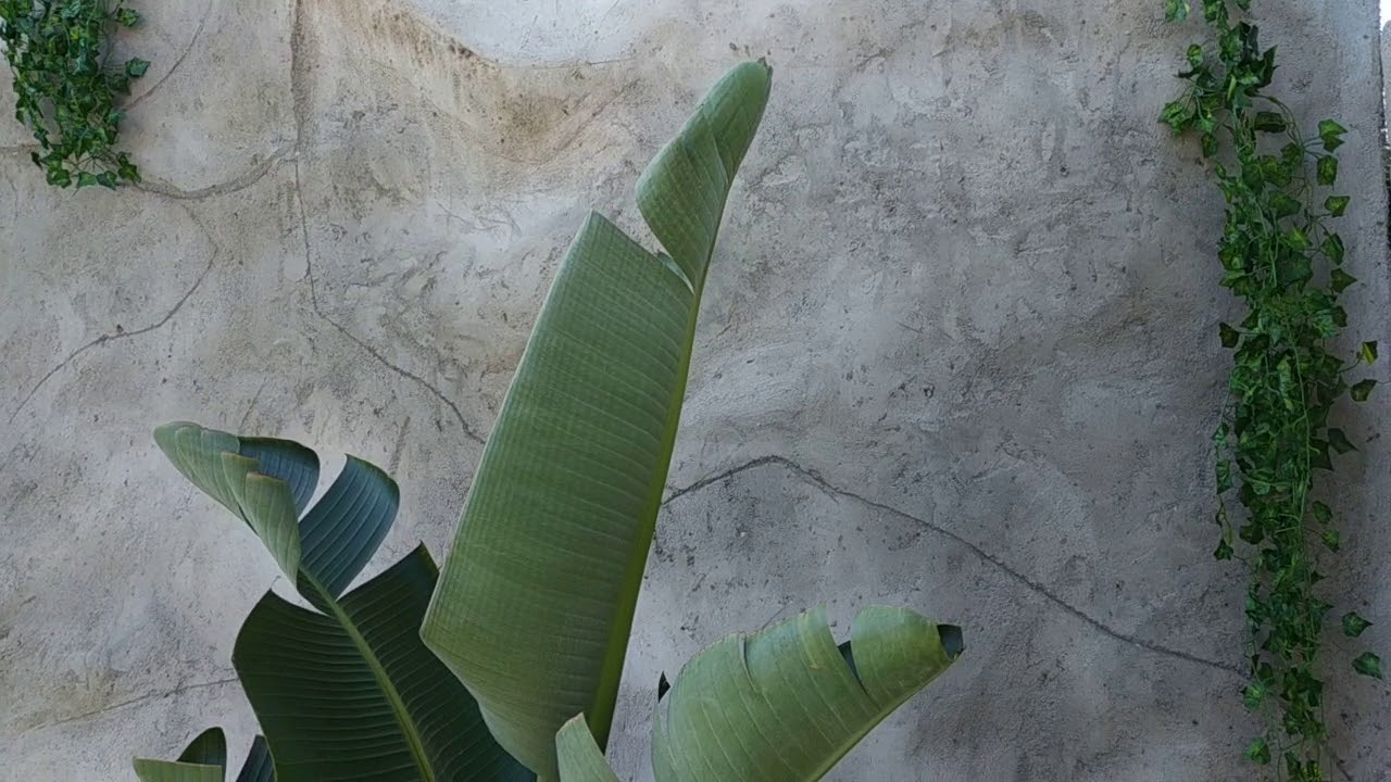 Piscine Plage Lagon Naturelle Avec Cascade