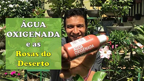 Pode usar água oxigenada na rosa do deserto?