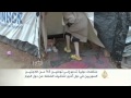 دعوات لتوطين اللاجئين السوريين للتخفيف