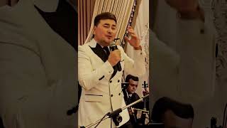 Алишер Набиев - Базми Туйёна #3 (2024) #Shorts #Alishernabiev #Weddingday #Top #Khujand