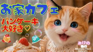 おうちカフェ♡ Mike-chan's Cozy Home Café『三毛猫ミケの毎日』雨の