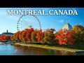 Autumn in Canada: Gold, Fur, and Caviar on the High Seas