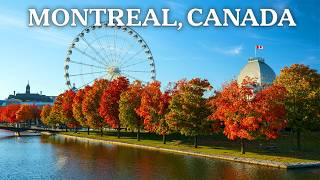 Autumn in Canada: Gold, Fur, and Caviar on the High Seas