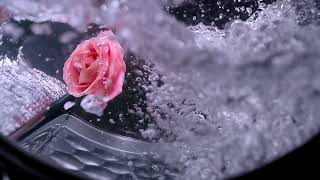 Miele Washing Machine And Dryers - 10 Sec Laundry