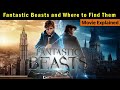 Fantastic Beasts and Where to Find them | Full Movie | Explained in Hindi