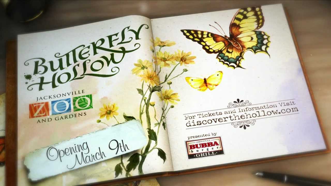 Jacksonville Zoo and Gardens Presents Butterfly Hollow YouTube