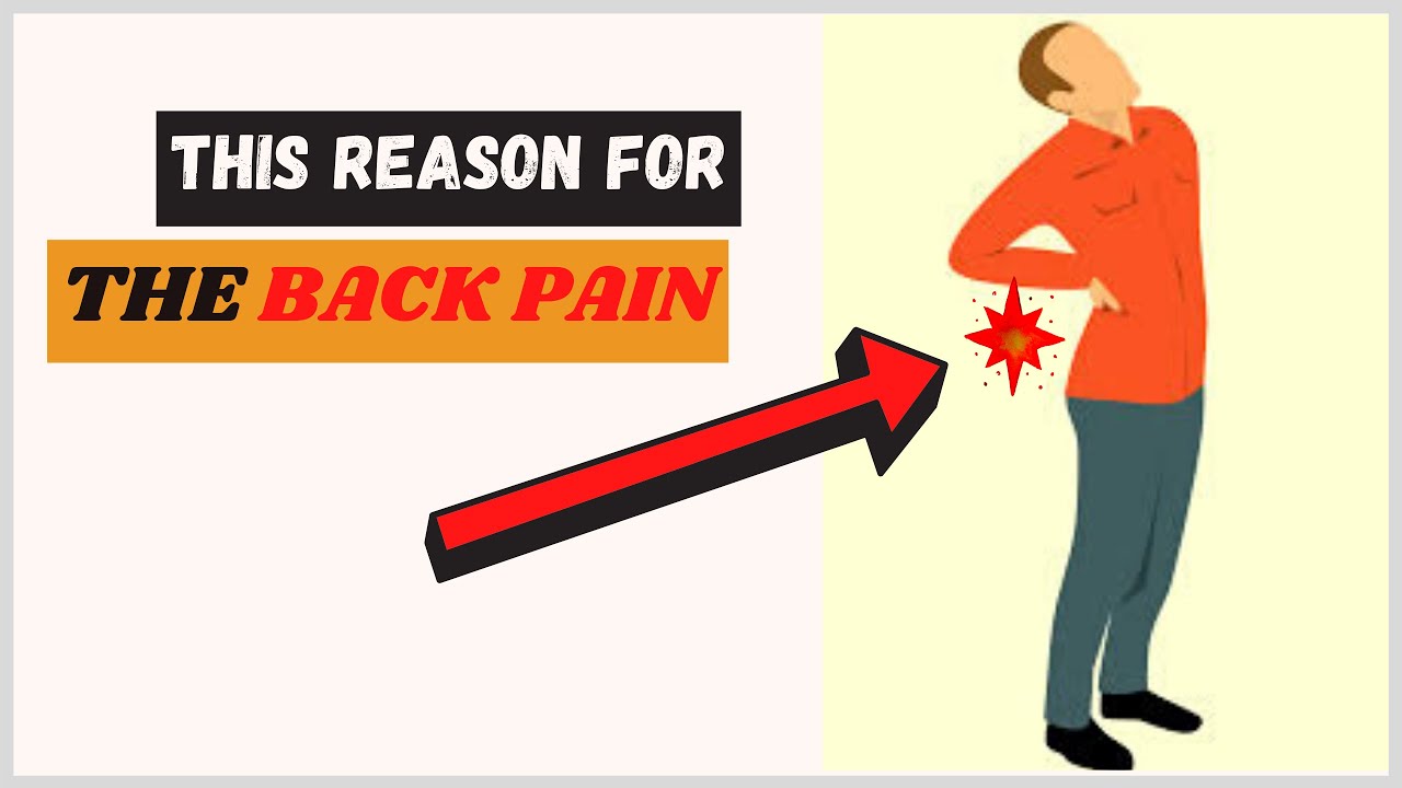 Causes of Lower Back Pain What is causing your back pain YouTube