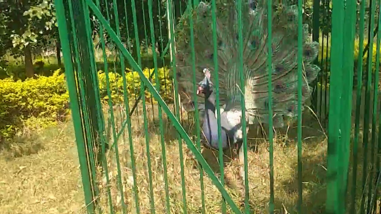 Unapdev garden,chopda