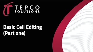 Celebrity P6 Report Editor Tutorial - Part 1 - Basic Cell Editing Wealth