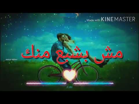اليسا الجديد مش بشبع منك 2020
