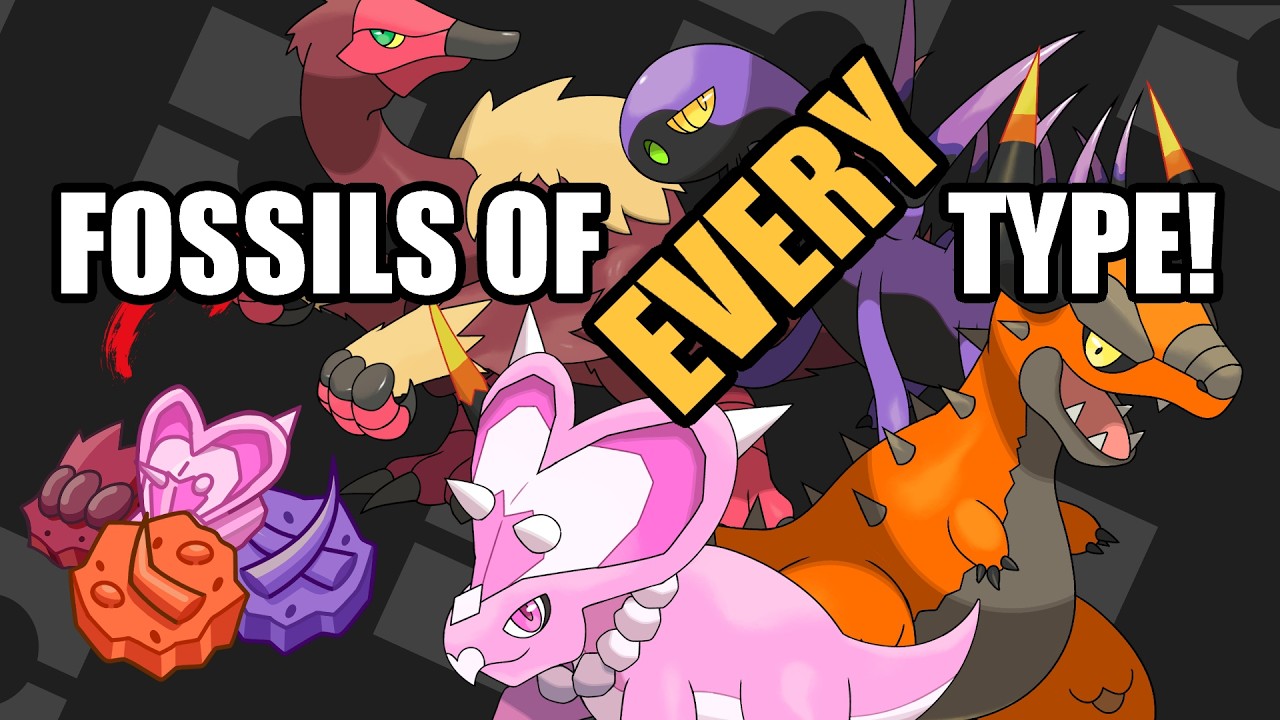 A FOSSIL of EVERY type!