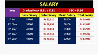 School Teacher Salary | Primary Teacher Salary