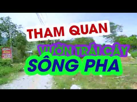 VƯỜN TRÁI CÂY SÔNG PHA - QUANG LAI PHAN RANG NINH THUẬN