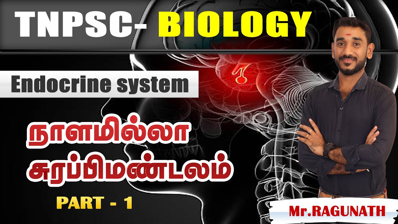 TNPSC GROUP 1,2,4 SCIENCE BIOLOGY ENDOCRINE SYSTEM நாளமில்லா