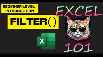 Excel 365 Intro to FILTER function - beginners guide!
