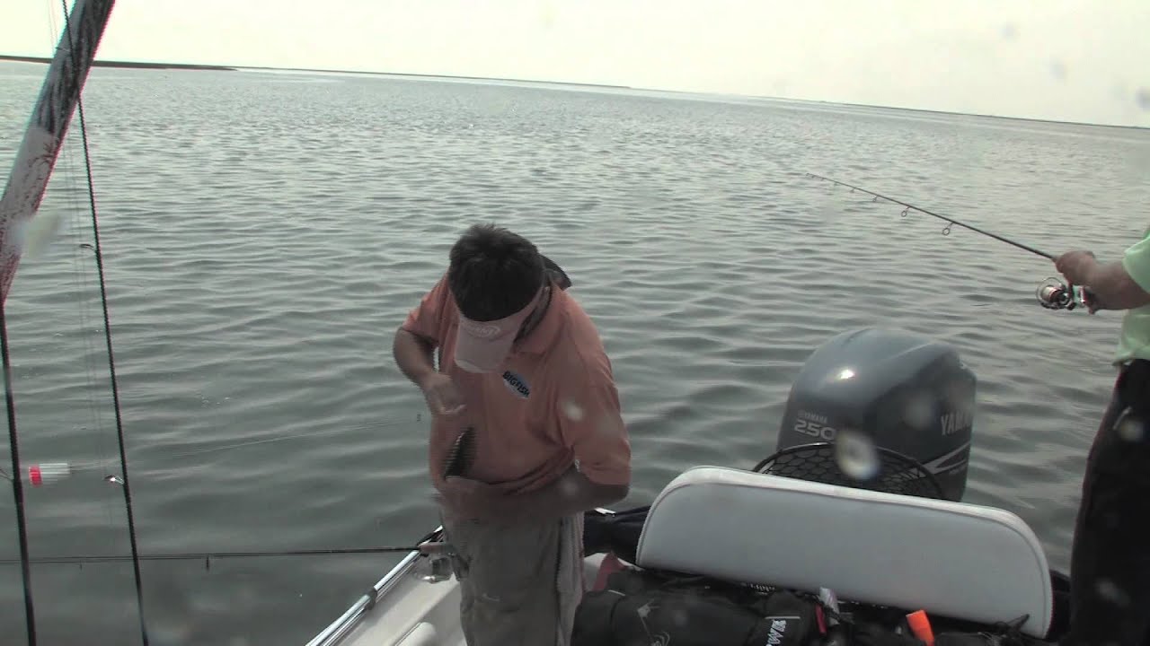 Speckled Trout Hot Spots for Shell Beach & Hopedale