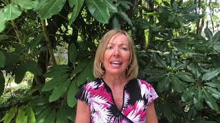 What is a CDD