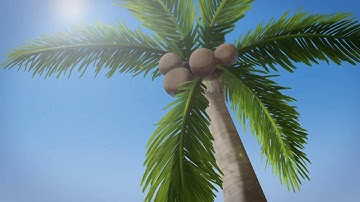 Palm Tree Test Animation