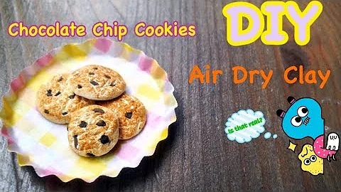 DIY Miniature Chocolate Chip Cookies!!