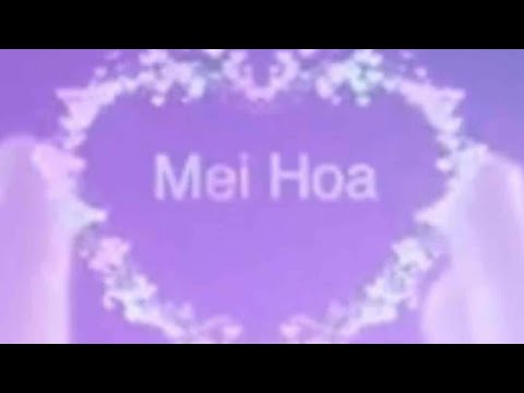 真心真意过一生