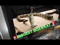 5 BIG BOA CONSTRICTORS EATING, Ghost , Argentine, Albino , BCI, Green Anaconda, Redtail boa !!!!