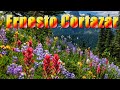 Capture de la vidéo Ernesto Cortazar -  Romantic Piano Love Songs - The Best Selection   ♫