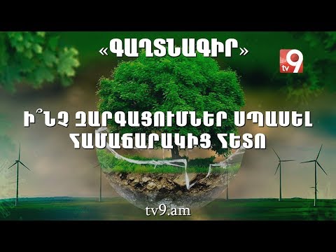 Video: Ի՞նչ արեցին Էլկինսի և Հեփբերնի գործողությունները: