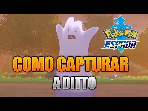 COMO CAPTURAR A