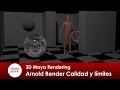 3D Maya 294 Rendering Arnold Render Calidad y limites