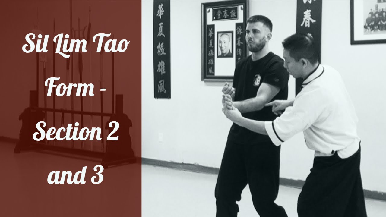 Sil Lim Tao Form - SECTION 2 AND SECTION 3 of the Form (Sonny Le) | Ho Kam Ming