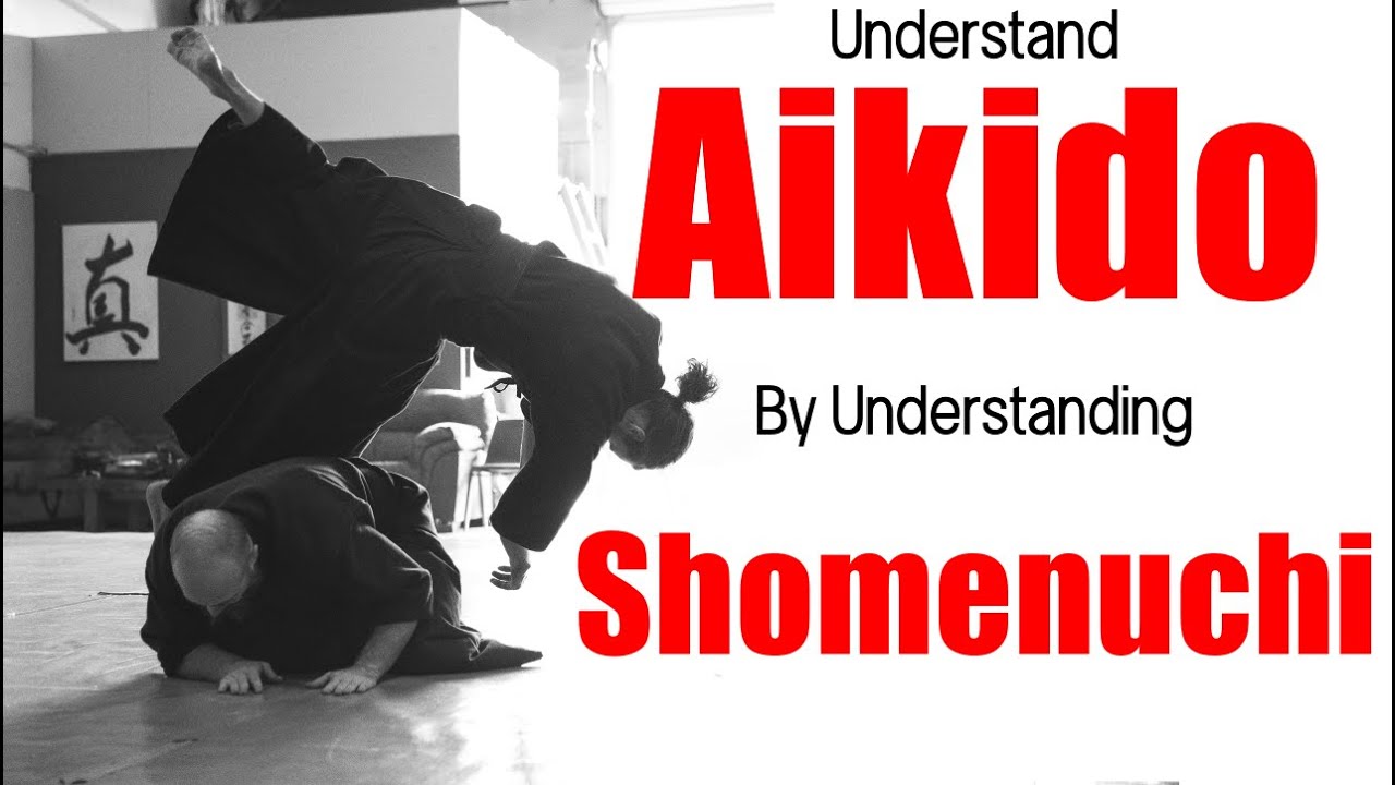 Understanding Aikido- By understanding Shomenuchi