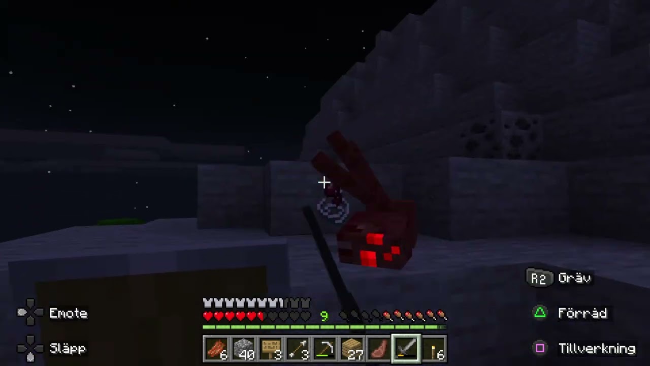 Minecraft_20260225192156